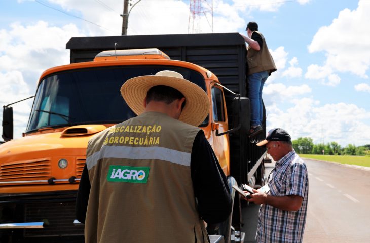 Seminário em Campo Grande aborda combate a agrotóxicos ilegais