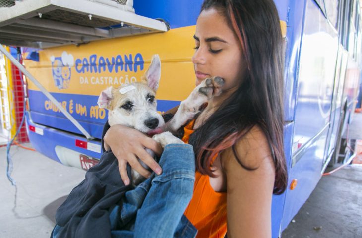 Caravana da Castração oferece 1.700 vagas grátis para pets em Campo Grande