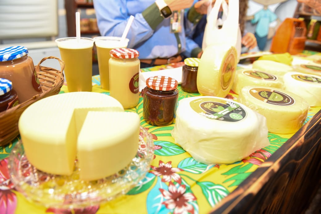 Festa do Queijo em Rochedinho atrai 16 mil visitantes e supera R$ 1 milhão em vendas