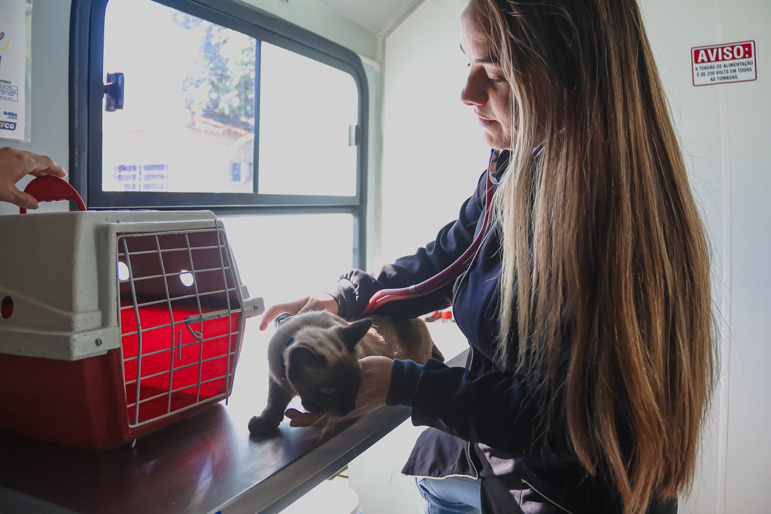 Consultório Móvel da Subea oferece atendimento veterinário gratuito em Campo Grande