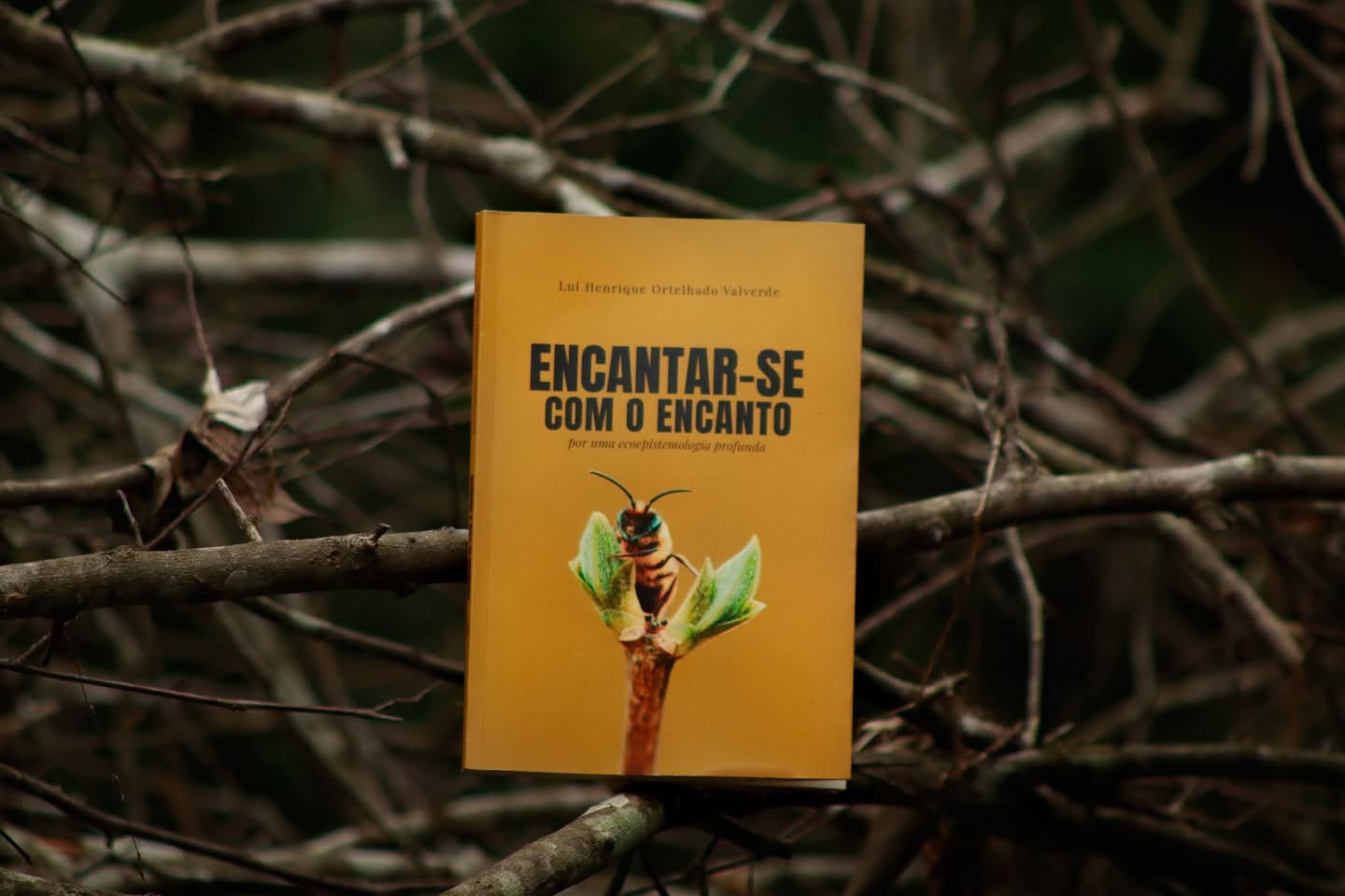 Lançamento de Livro sobre Ecoepistemologia Acontece em Campo Grande