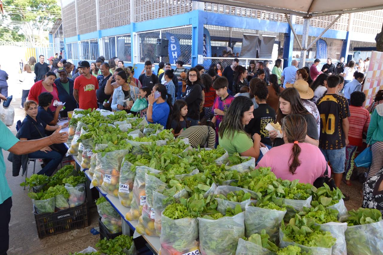 Mutirão Todos em Ação oferece mais de 300 serviços no Oliveira II