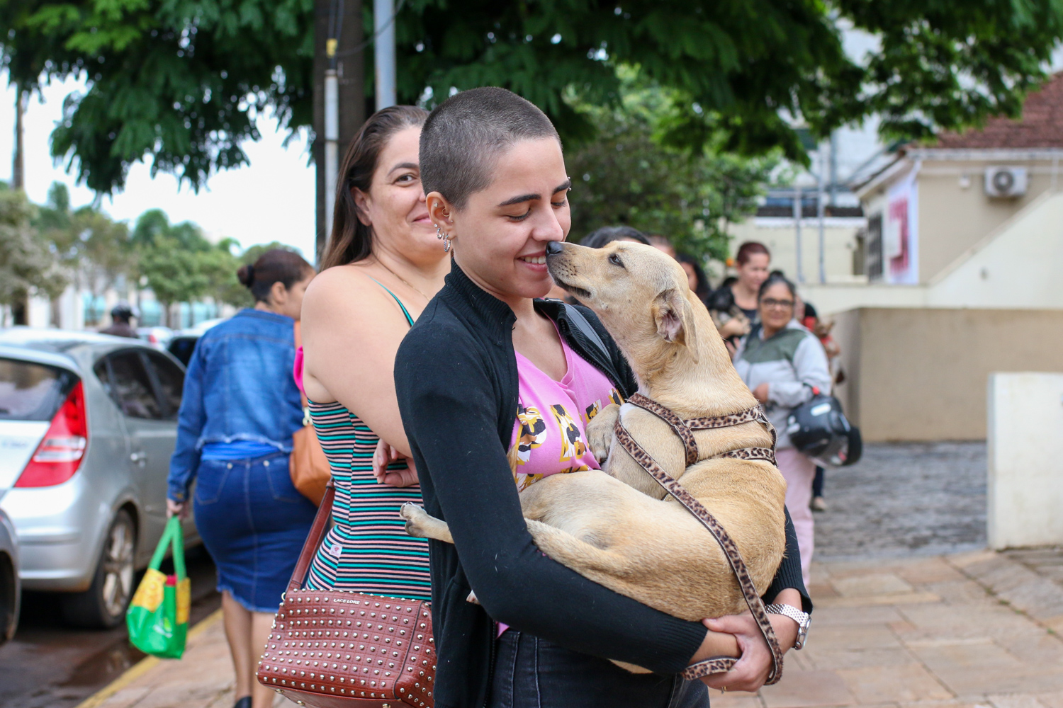 Feira de Adoção de Animais em Campo Grande: Mais de 50 Pets à Espera de um Lar