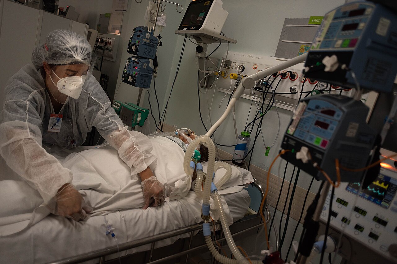 Cientistas propõem medidas para conter avanço de fungos resistentes a medicamentos