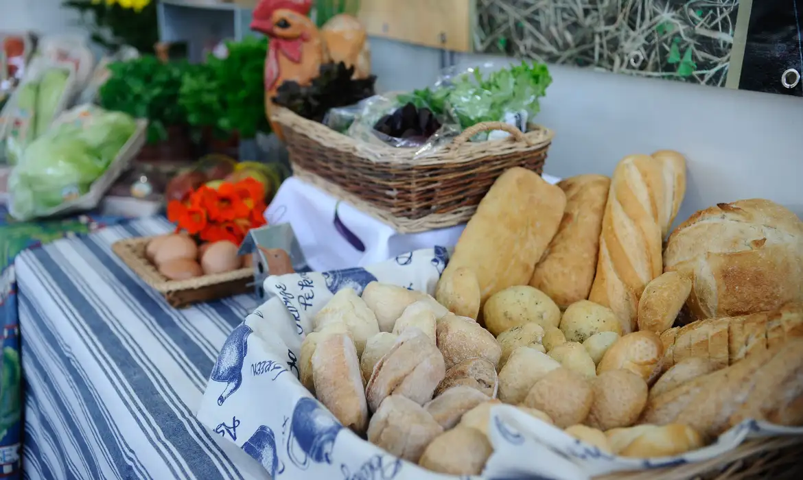 Indústria de alimentos cresce 8% e fomenta empregos em 2025