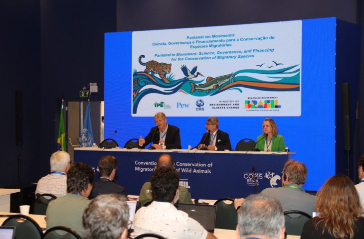 COP15 destaca financiamento para preservação do Pantanal