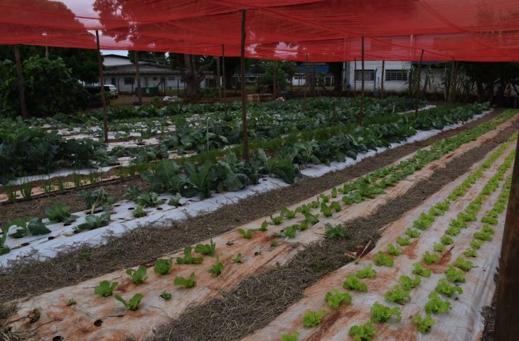 Inovação no Campo: Jovens de MS Usam Tecnologia para Transformar a Agricultura