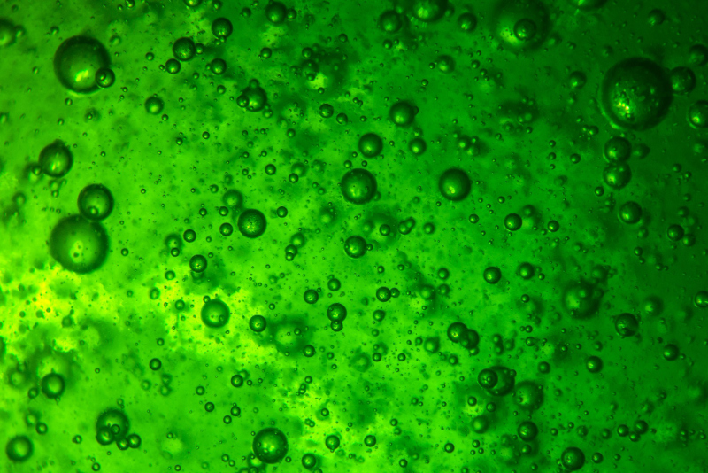FAPESP e NWO impulsionam pesquisa em biorrefinarias sustentáveis