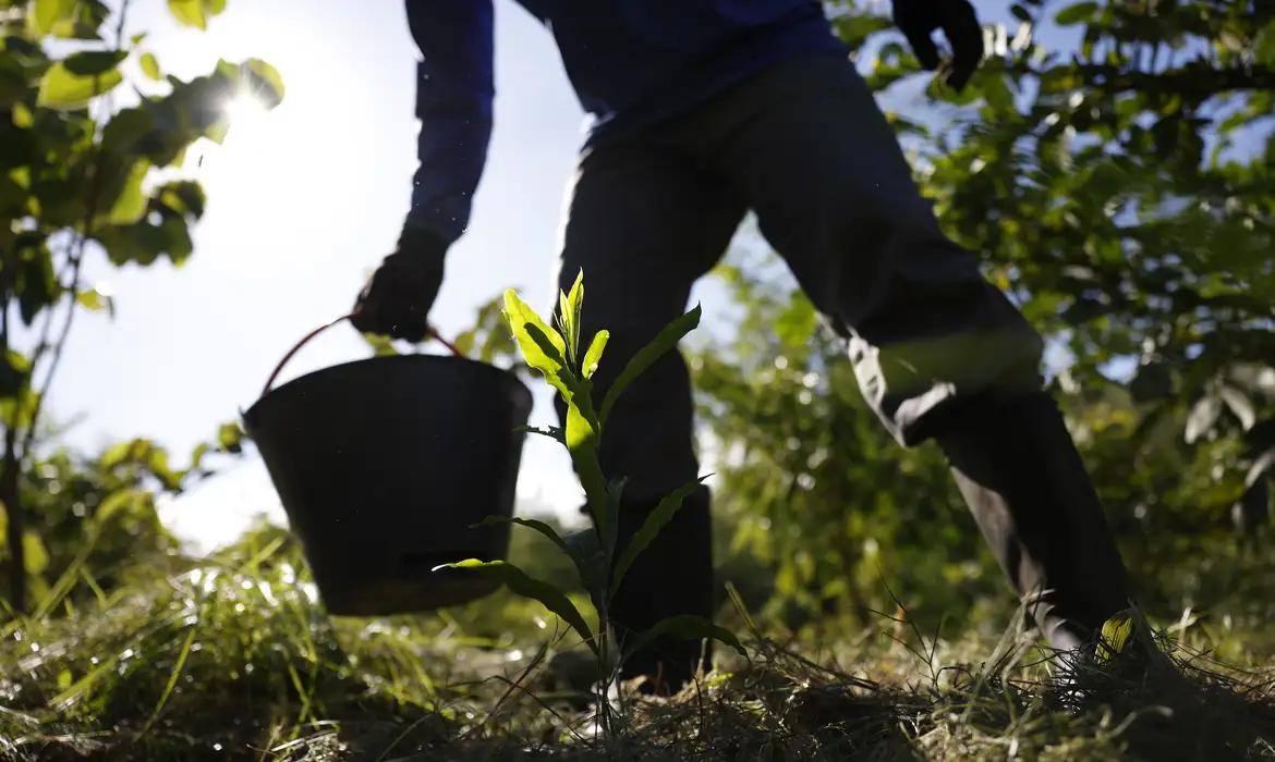Governo lança plano para impulsionar bioeconomia até 2035
