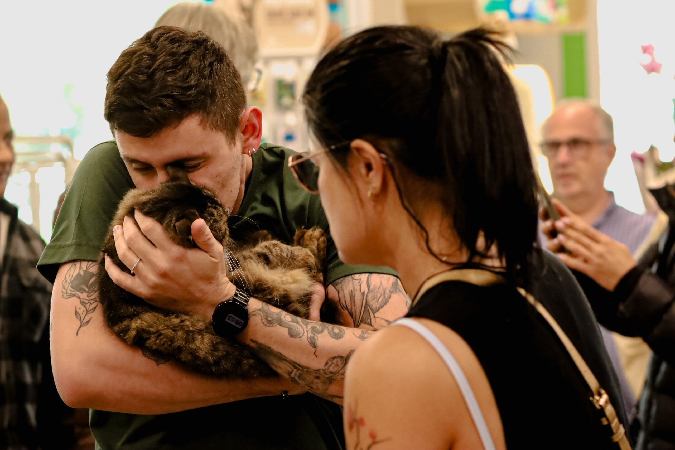 Mudança de tempo aumenta casos de doenças respiratórias em gatos, alerta Subea