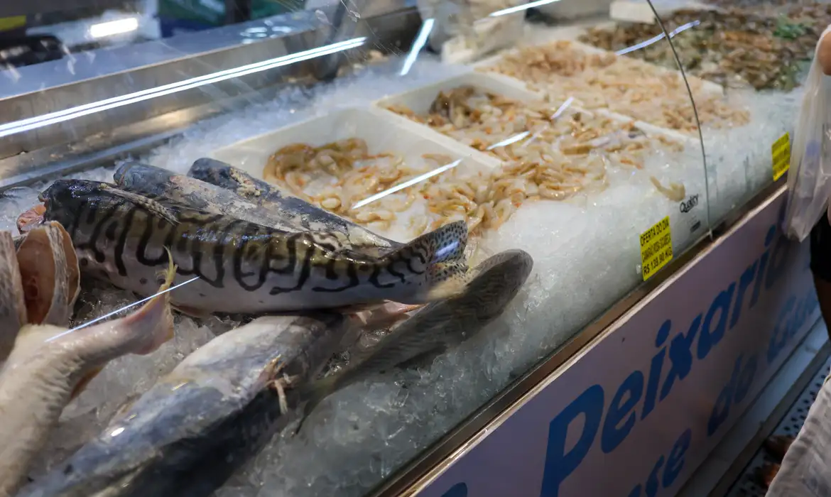Vigilância orienta sobre compra segura de pescado na Semana Santa