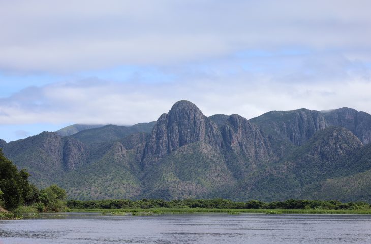 Pantanal recebe mais de R$ 6 milhões para projetos de conservação ambiental