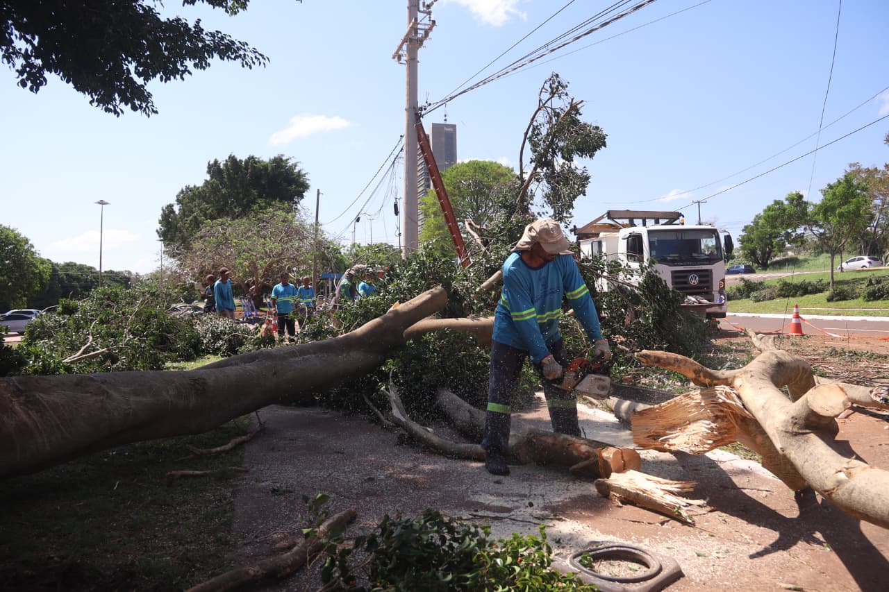 Campo Grande: Força-Tarefa da Prefeitura Atende Danos Após Temporal