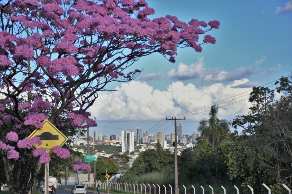 Campo Grande avança em habitação e mobilidade com novos projetos