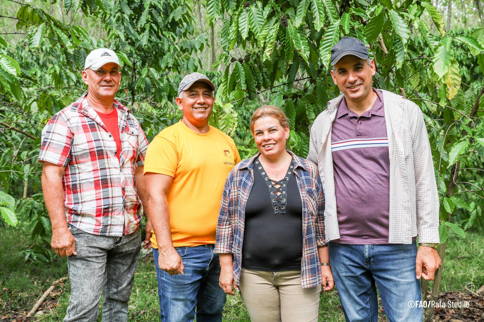 Acesso à Terra: Diálogos Globais Destacam Desafios da Agricultura Familiar