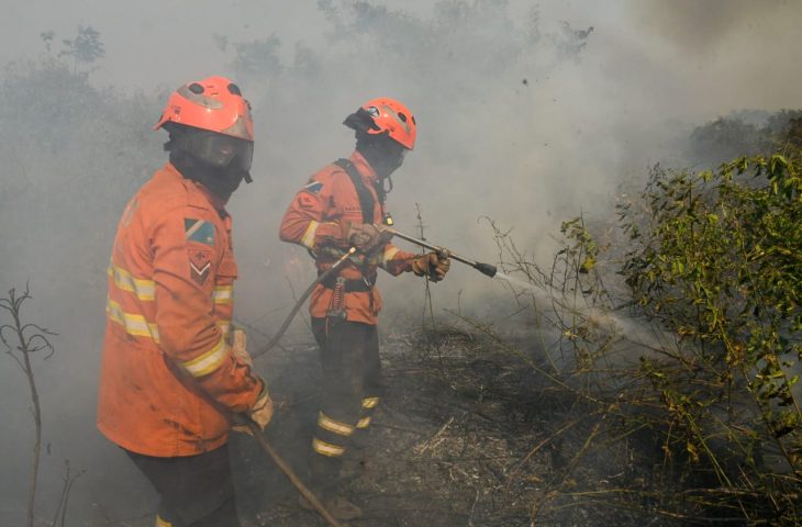 MS intensifica combate a incêndios no Pantanal com corpo de bombeiros