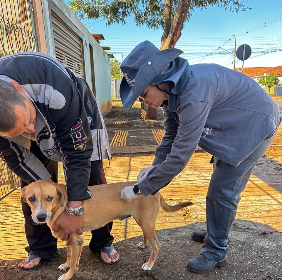 Campo Grande realiza vacinação antirrábica para cães e gatos neste fim de semana