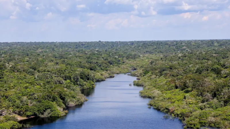 Estudo revela interconexão entre clima da África e nutrientes na Amazônia