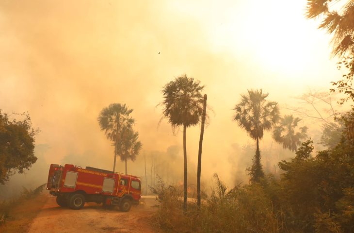 El Niño aumenta risco de incêndios no Pantanal; MS reforça combate