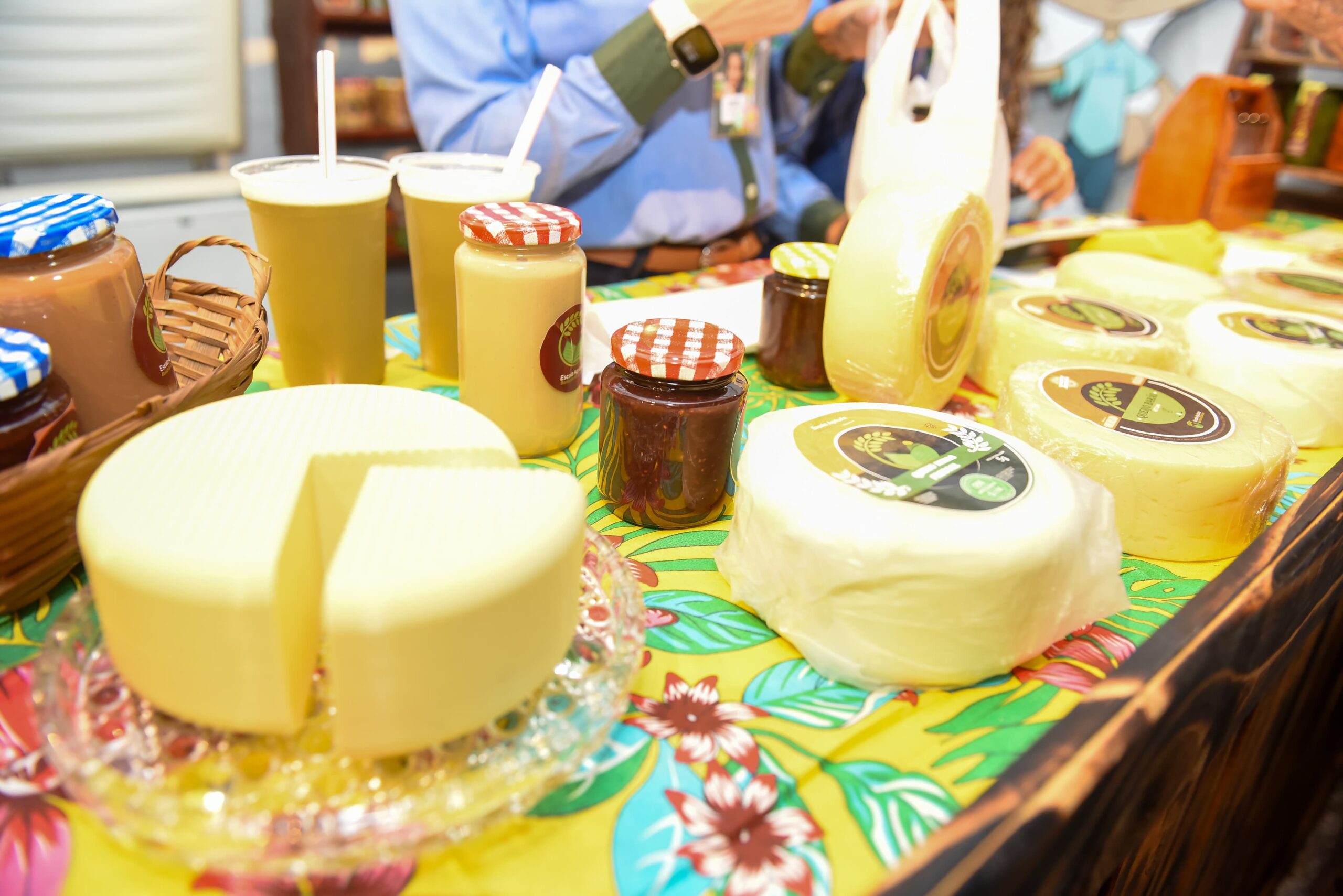 9ª Festa do Queijo em Rochedinho celebra tradição e sabores regionais