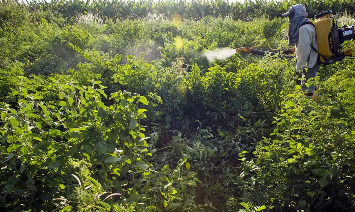 Governo define prioridades para redução do uso de agrotóxicos no Brasil
