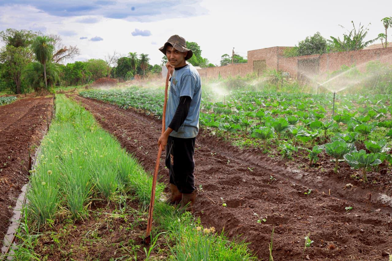 Campo Grande Lança Programa para Combater a Fome com Agricultura Familiar