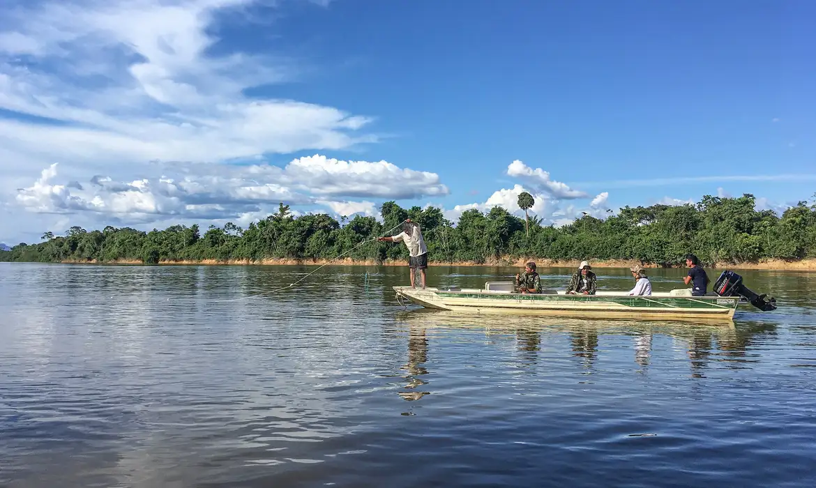 Relatório alerta para crise de peixes migratórios na Amazônia