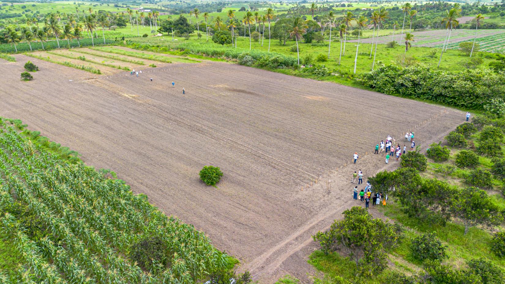 Projeto Raízes Agroecológicas avança com corredores agroecológicos no Brasil