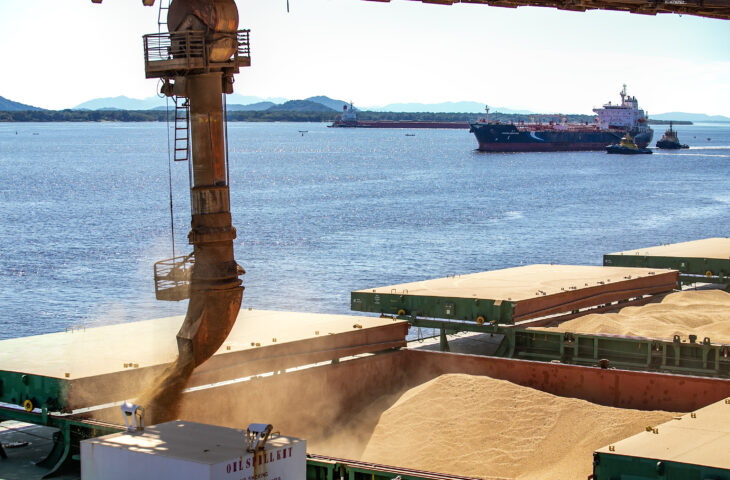 Exportações de Mato Grosso do Sul crescem 12,5% em 2023, impulsionadas pelo agronegócio