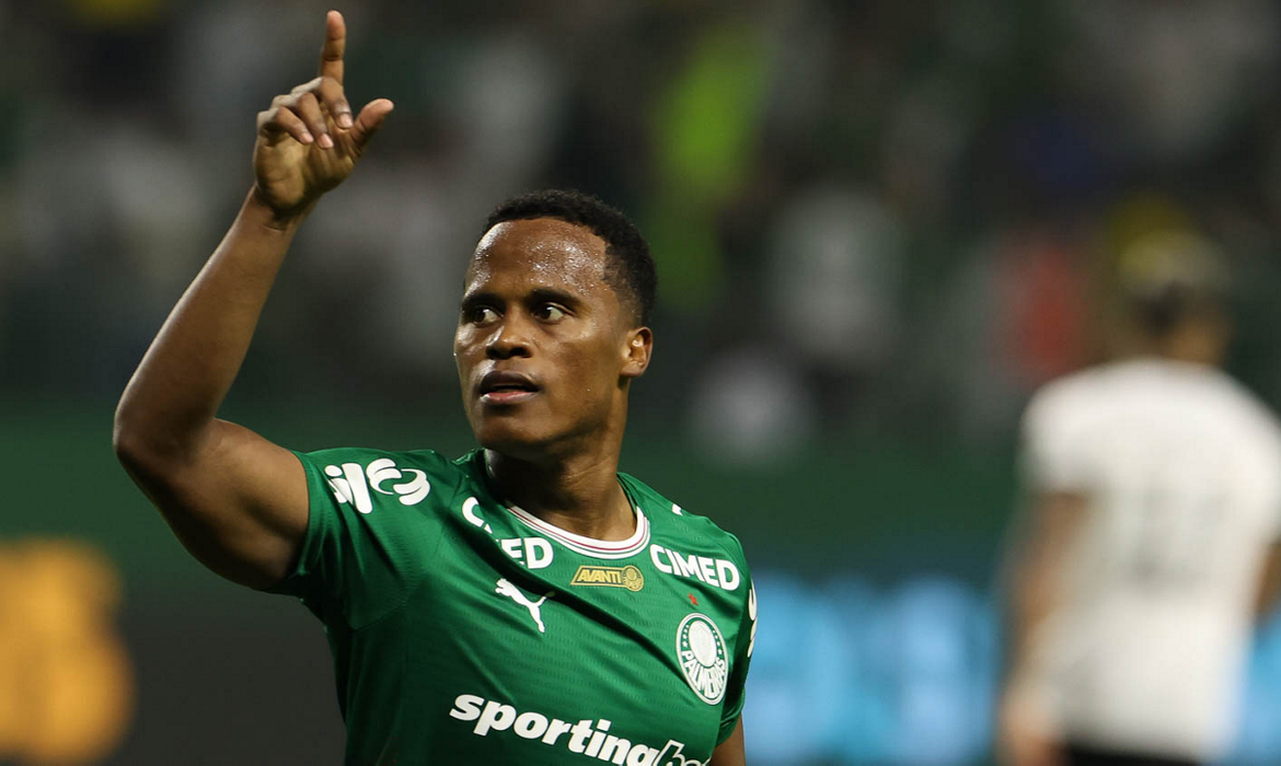 Palmeiras assume liderança ao vencer Botafogo por 2 a 1 no Brasileirão