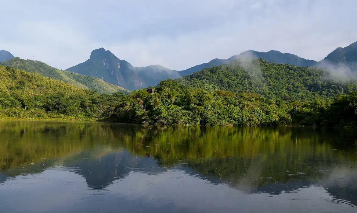 Qualidade da água nos rios da Mata Atlântica permanece crítica em 2025