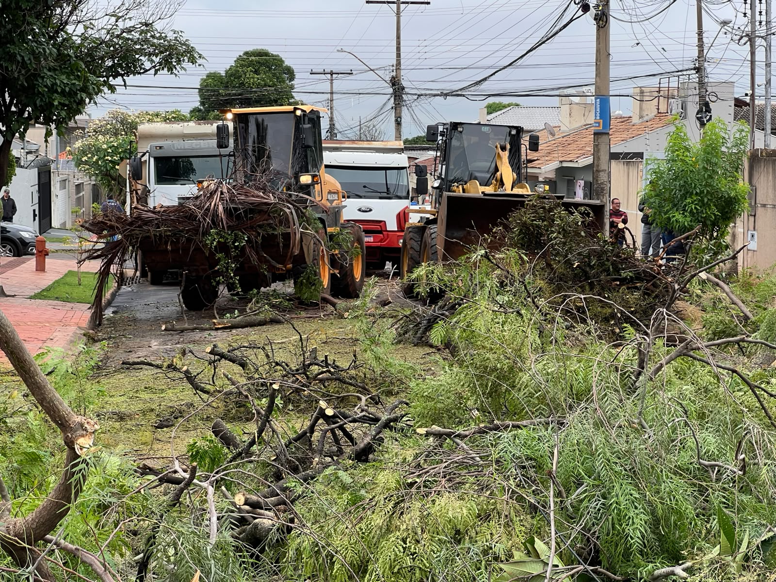 Campo Grande intensifica força-tarefa após forte temporal