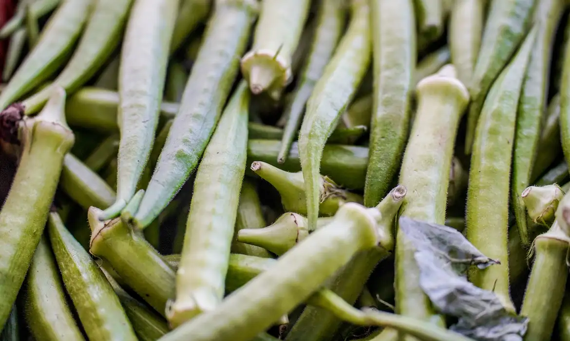 Garantia-Safra 2024: agricultores de 10 estados recebem R$ 1,2 mil em abril