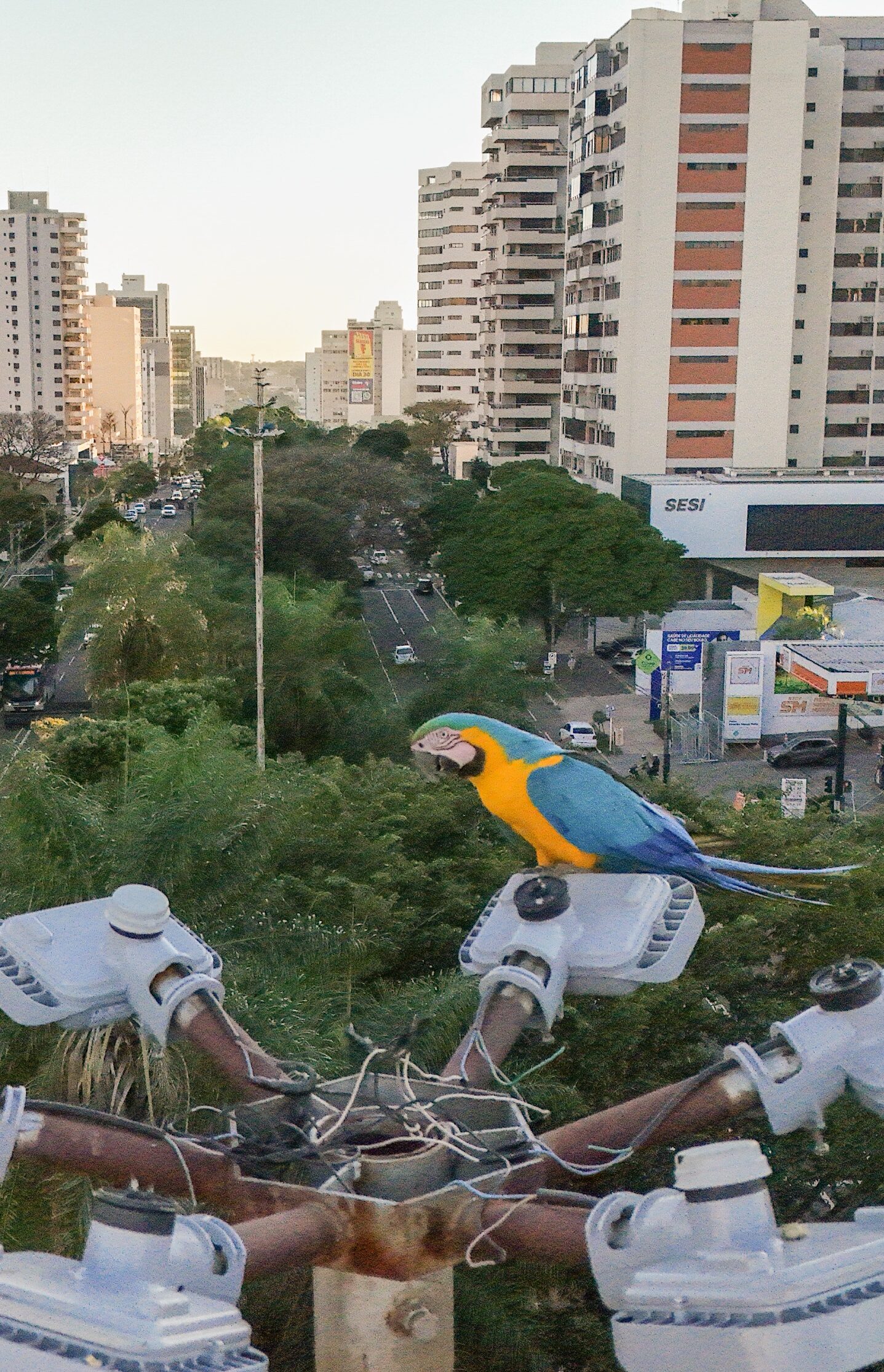 Campo Grande recebe fórum sobre turismo e conservação ambiental