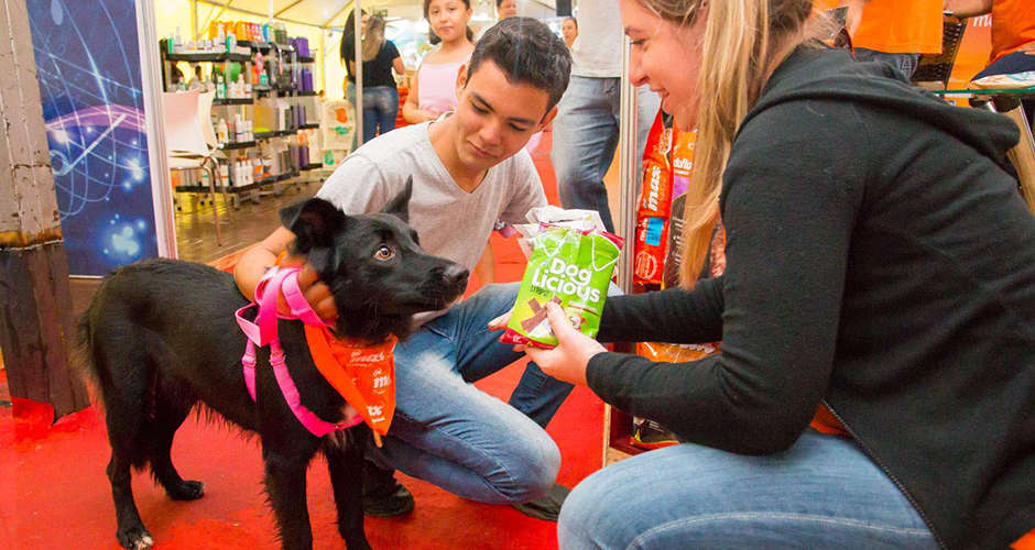 Campo Grande Lança Pesquisa Nacional sobre Turismo Pet Friendly