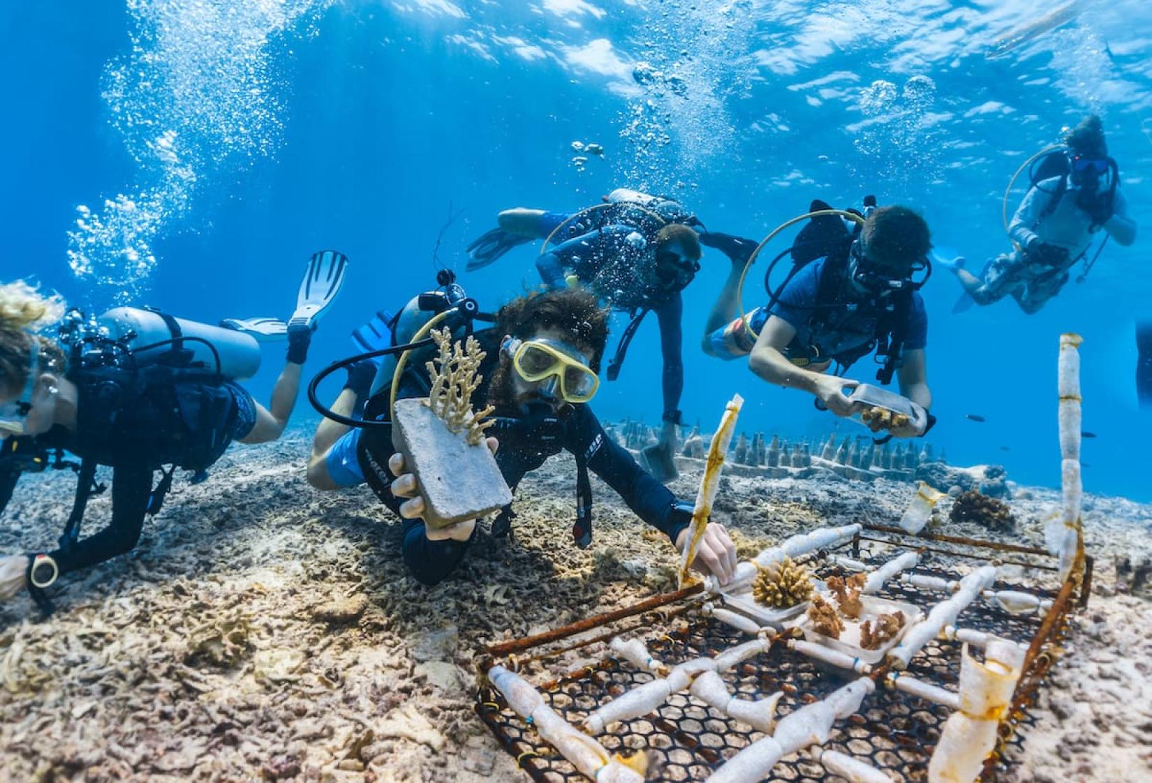 ONU abre inscrições para bolsas sobre Direito do Mar até setembro de 2026