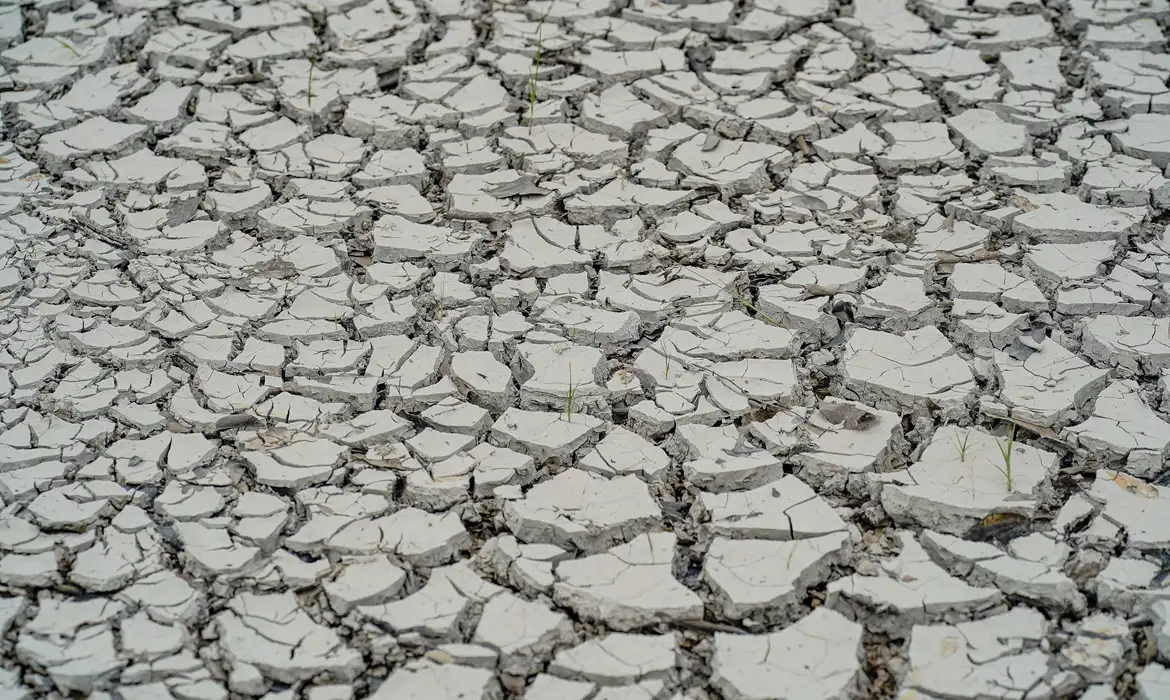 Seca no Nordeste: 15 cidades têm emergência decretada pelo governo