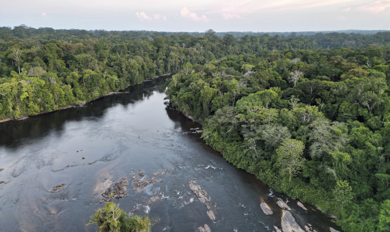 Nova plataforma integra dados sobre gases de efeito estufa na Amazônia