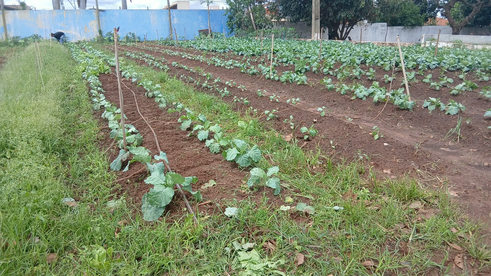 FAC Realiza Dia de Campo com Foco em Educação Ambiental em Campo Grande