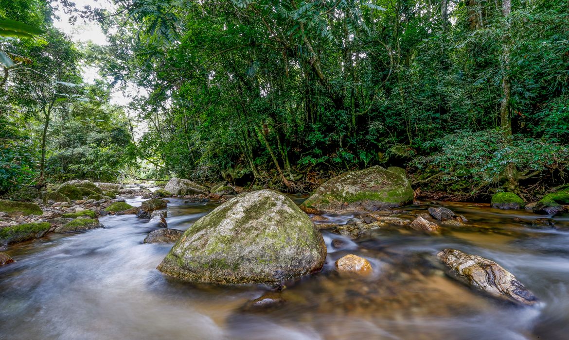 Plano Decenal visa fortalecer gestão ambiental no Brasil até 2036