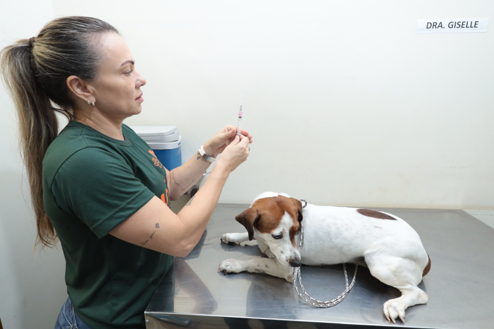 Consultório Móvel oferece atendimento veterinário gratuito para pets em MS