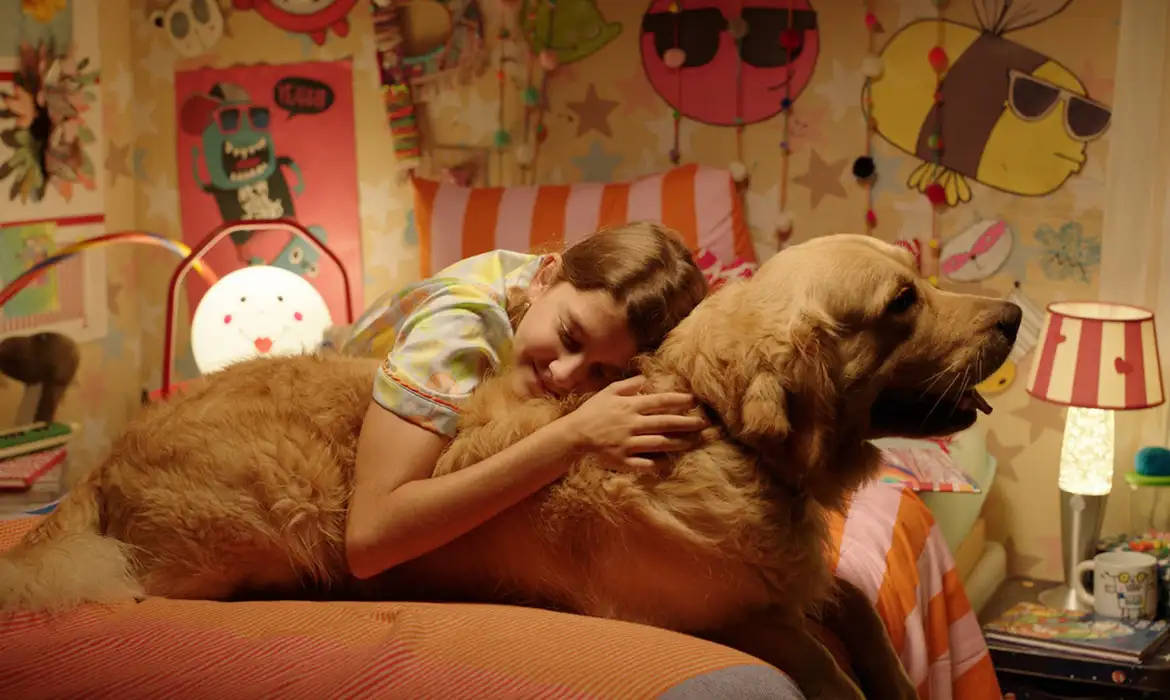 BIFF 2026 anuncia programação com filmes de mais de 800 inscritos