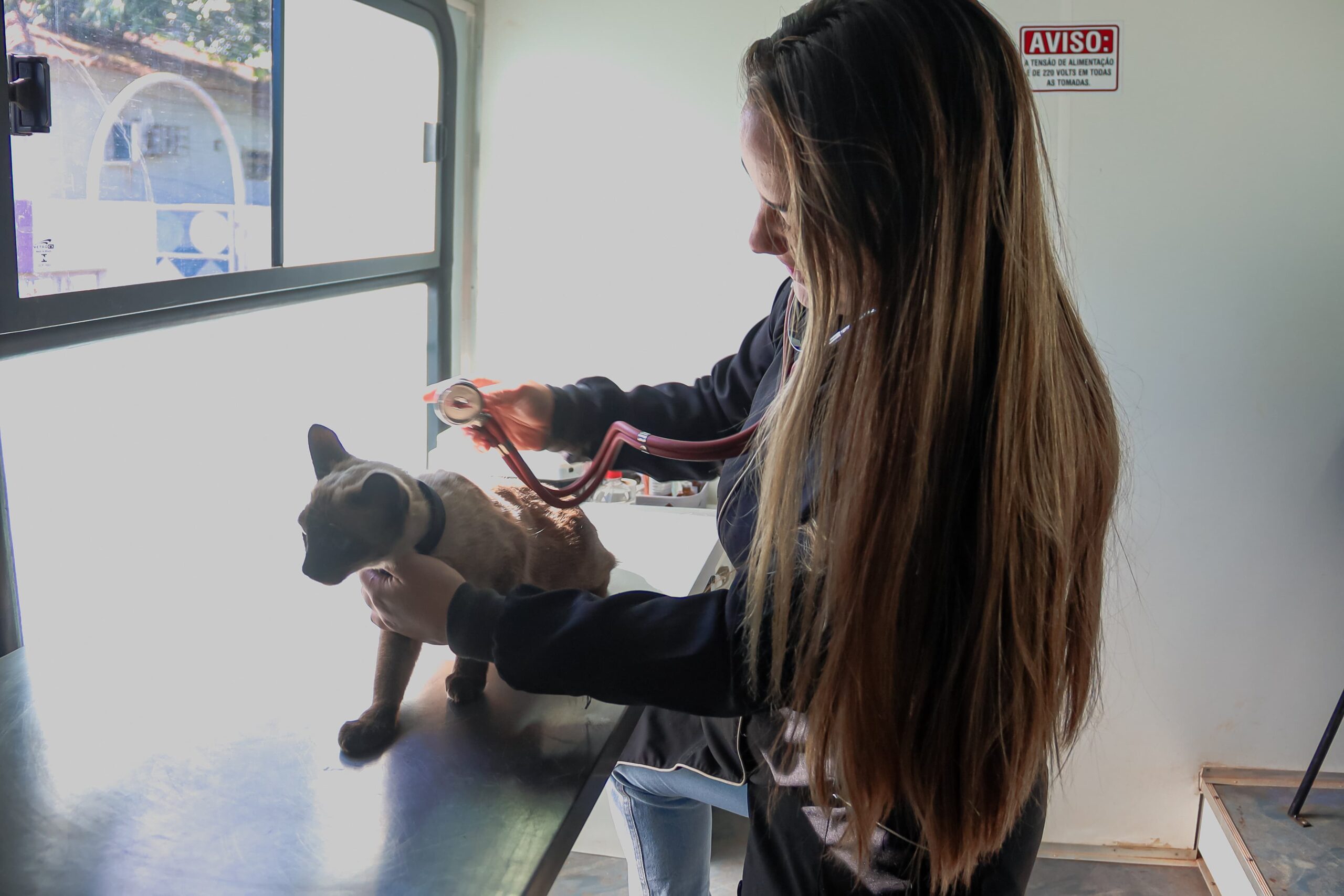 Consultório Móvel da Subea Oferece Atendimentos Gratuitos em Campo Grande