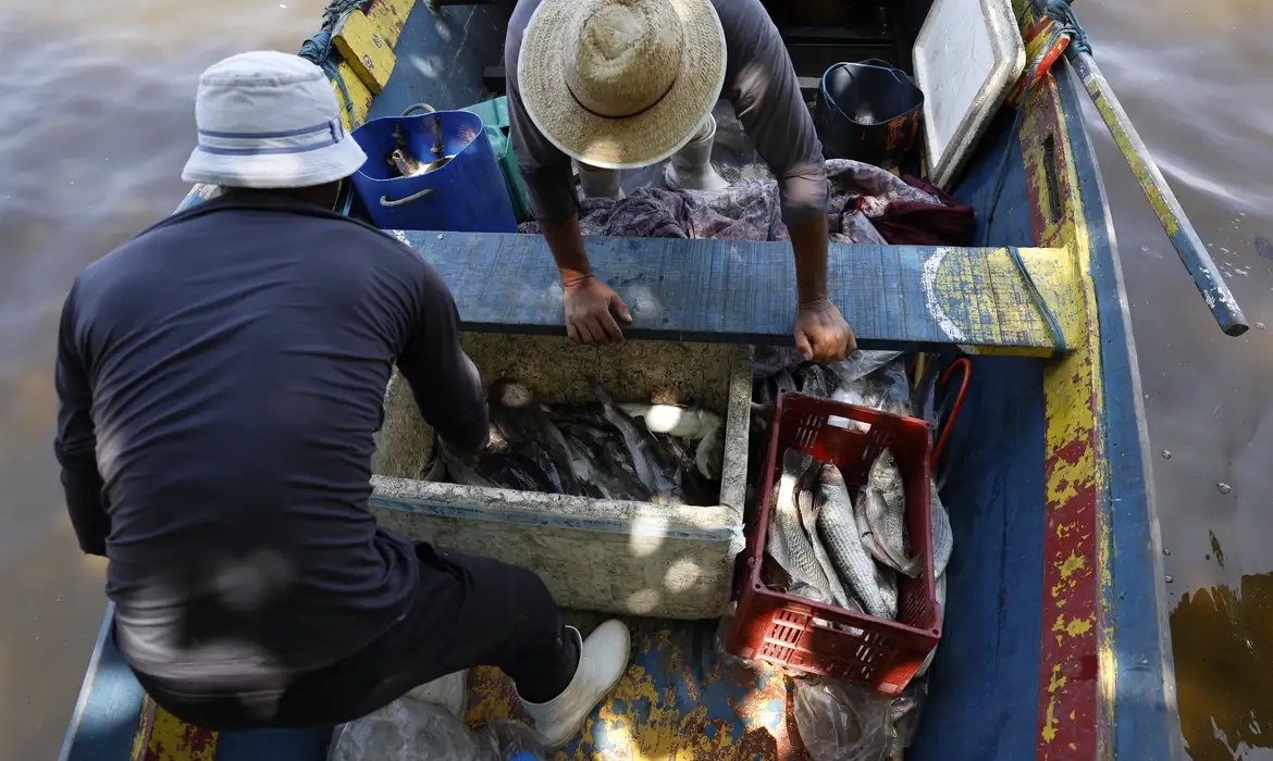 Ministério do Trabalho libera 6º lote do seguro-defeso para pescadores