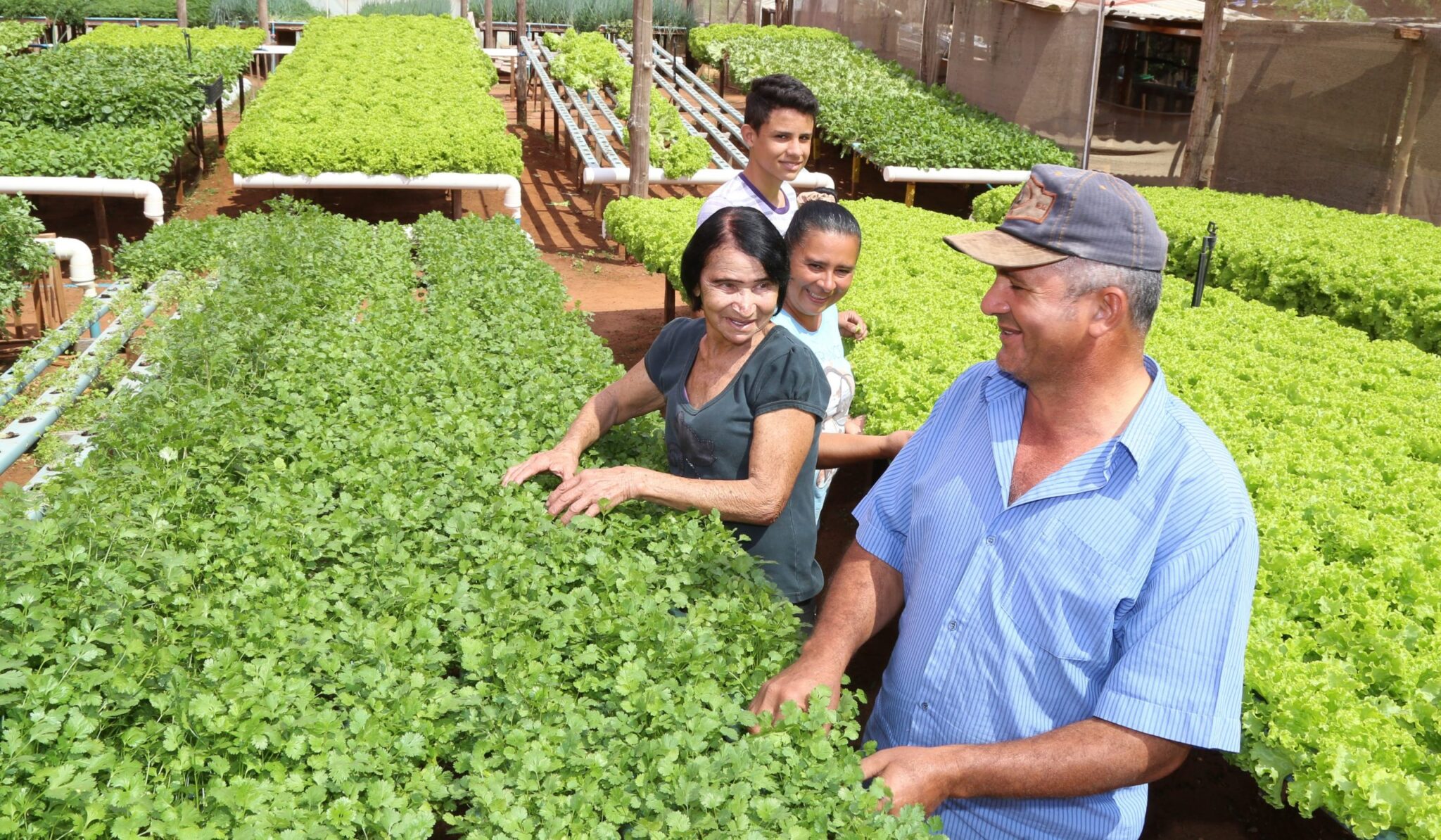 Produção Agrícola de Campo Grande supera R$ 1 bilhão em 2025