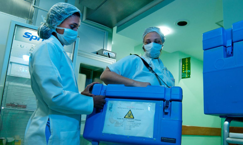 Droga para artrite pode melhorar rins para transplantes no Brasil