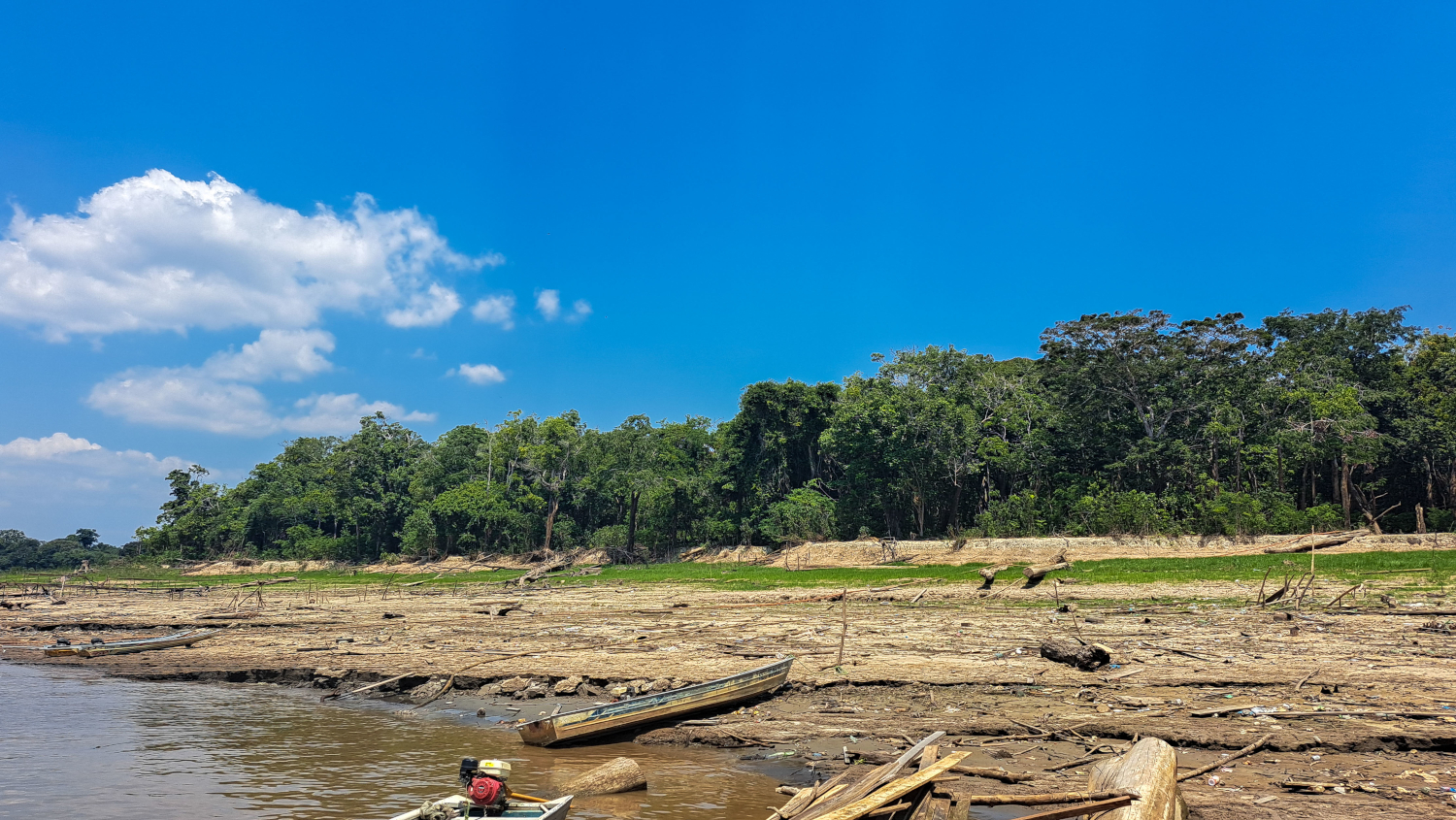 Estudo revela como isótopos da água ajudam a prever secas na Amazônia