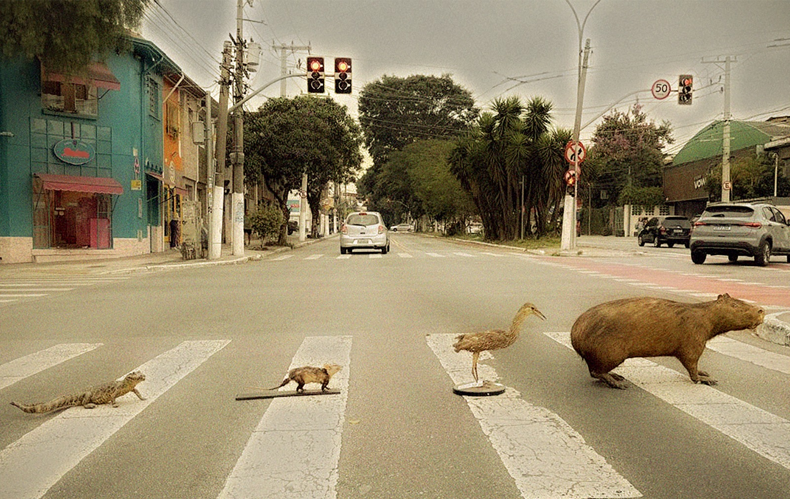 Exposição 'Existe Bicho em SP?' destaca fauna urbana em São Paulo