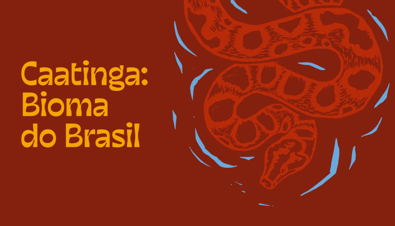 Exposição 'Caatinga: bioma do Brasil' destaca biodiversidade e cultura