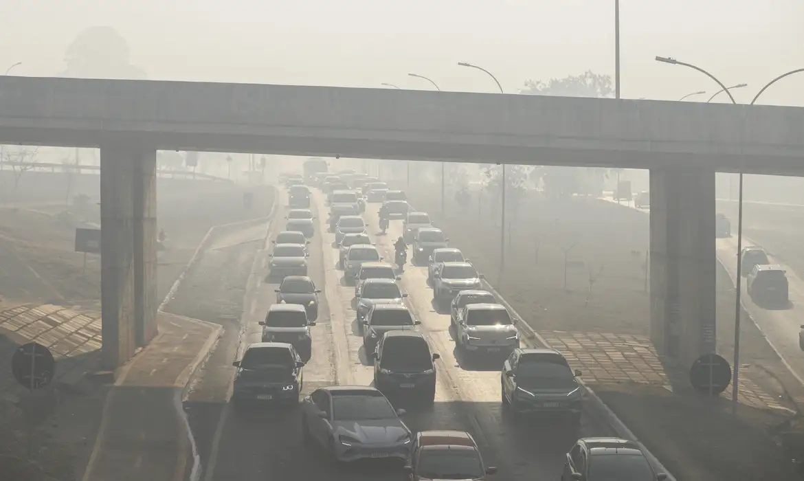 Poluição do ar no Brasil ultrapassa limites estabelecidos pela OMS em 2024